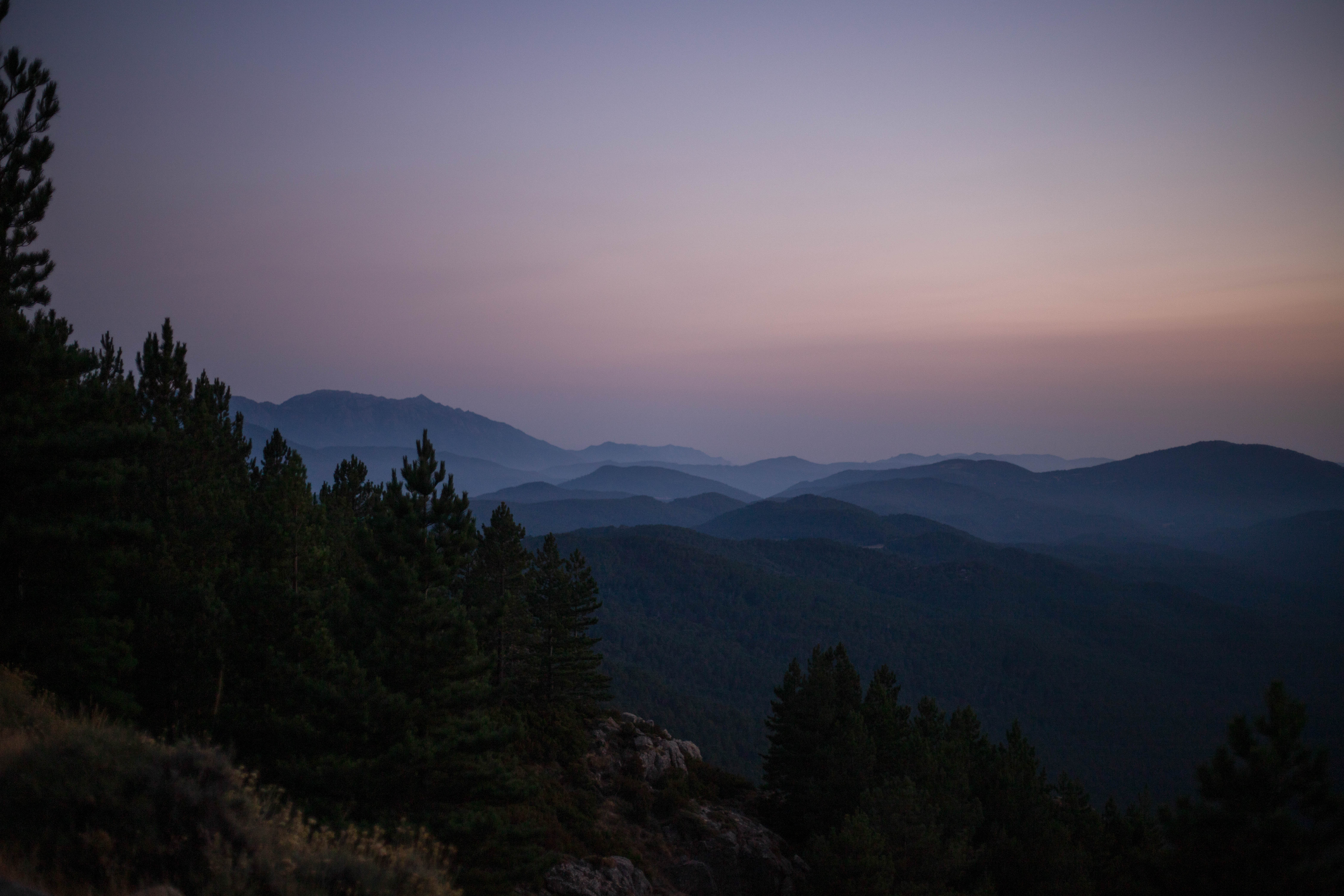 Photo nature